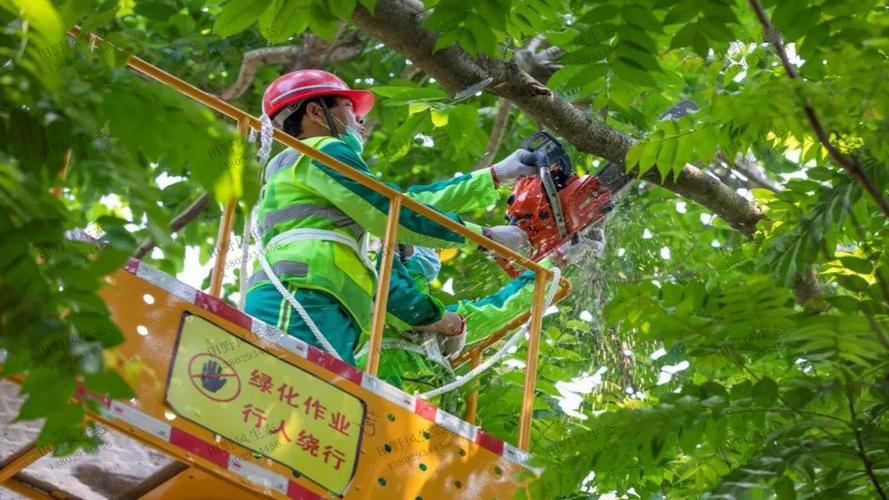 金年会：旷视的智能物流产品