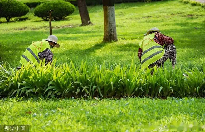 智慧城市建设结构化面试